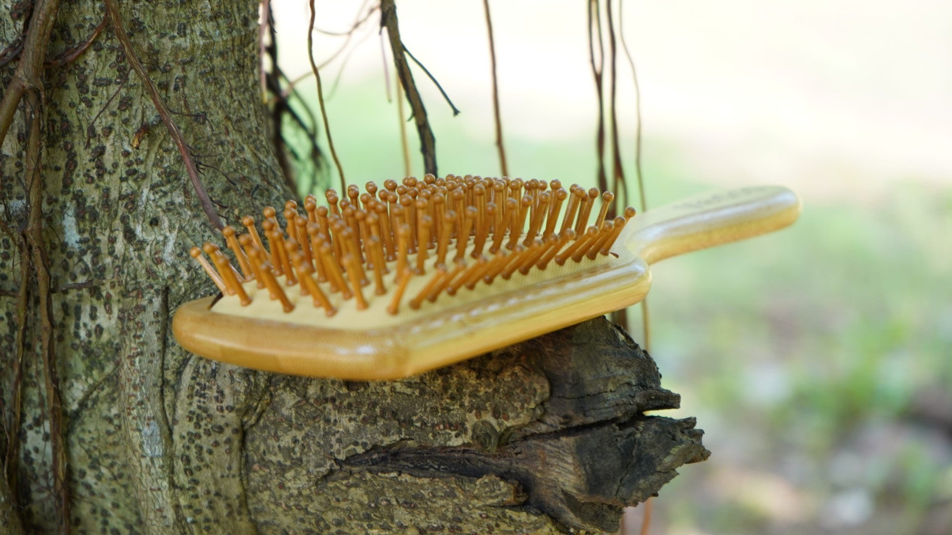 Vedco Wooden Paddle  Hair Brush